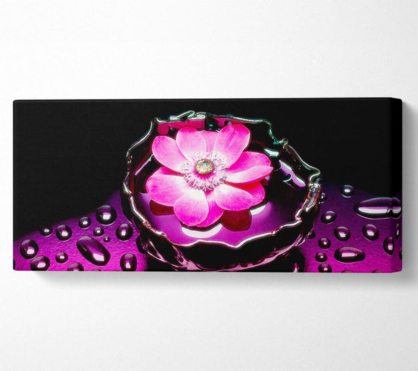 Pink Flower Splash