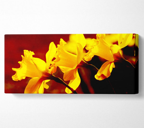 Golden Daffodil Parade