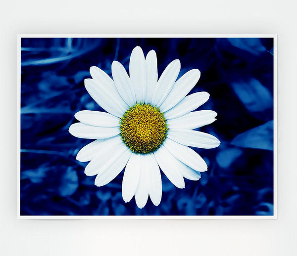 White Daisy Face On Blue Print Poster Wall Art
