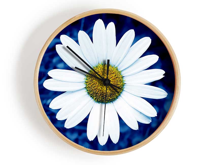 White Daisy Face On Blue Clock - Wallart-Direct UK