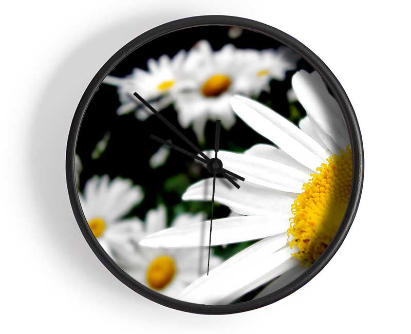 White Daisy Galore Clock - Wallart-Direct UK