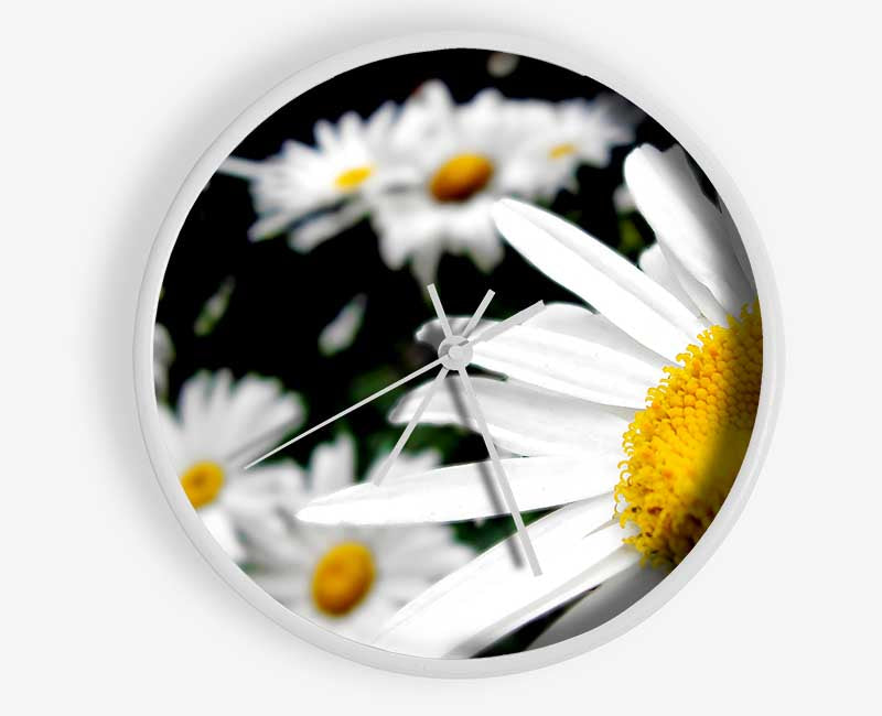White Daisy Galore Clock - Wallart-Direct UK