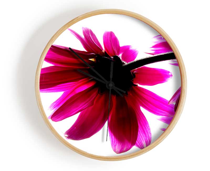 Stunning Pink Petals Bathed In Light Clock - Wallart-Direct UK