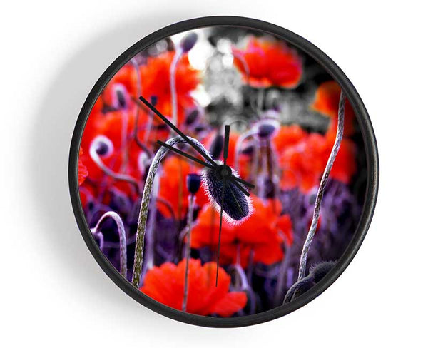 Field Of Red Poppys Clock - Wallart-Direct UK