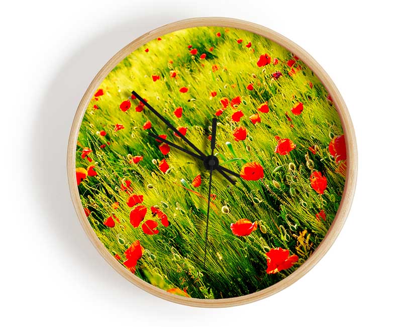 Wild Poppy Field Clock - Wallart-Direct UK