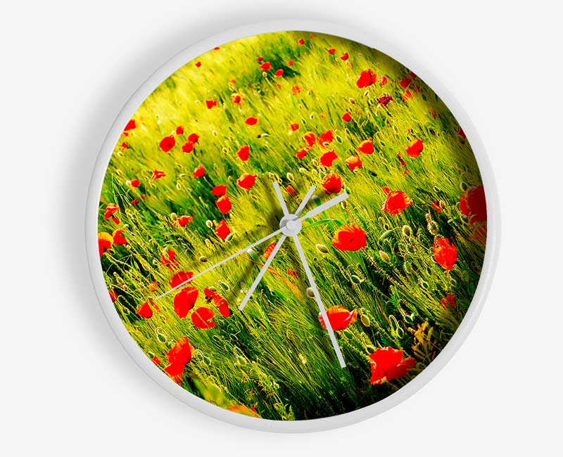 Wild Poppy Field Clock - Wallart-Direct UK