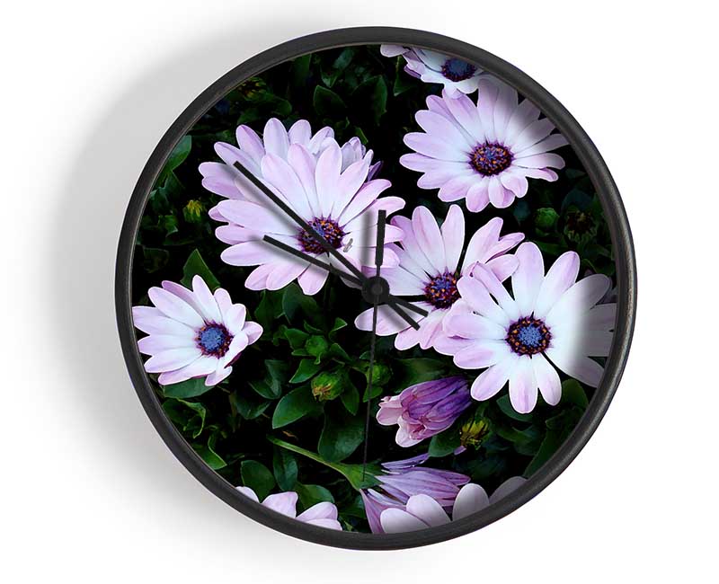 White Pink Baby Daisies Clock - Wallart-Direct UK