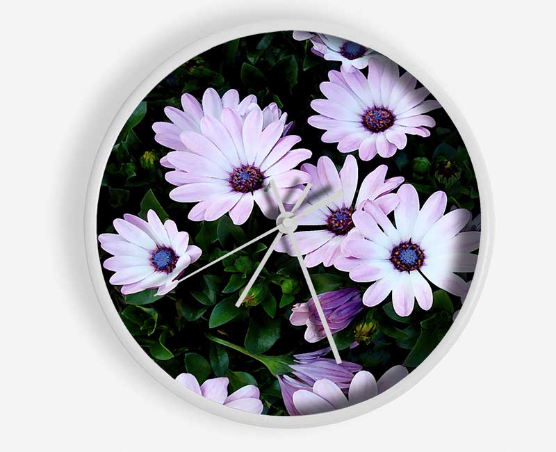 White Pink Baby Daisies Clock - Wallart-Direct UK