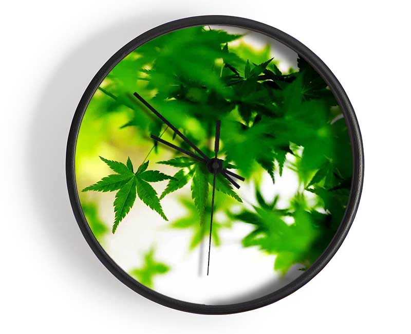 Green Leaves Bathed In Sunlight Clock - Wallart-Direct UK