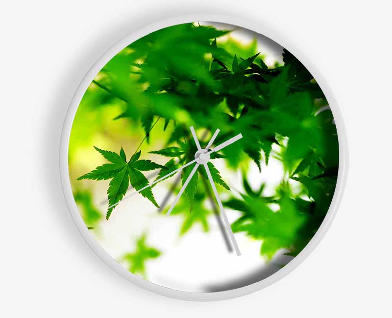 Green Leaves Bathed In Sunlight Clock - Wallart-Direct UK