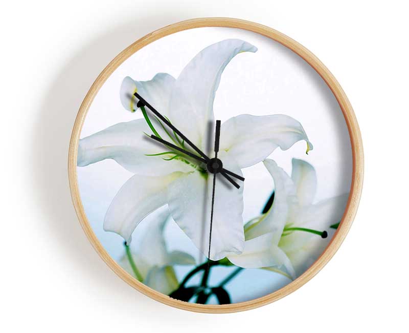 White Flowers In Bloom On Baby Blue Clock - Wallart-Direct UK
