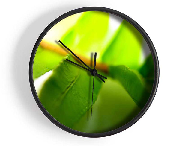 Green Leaves Close-Up Clock - Wallart-Direct UK