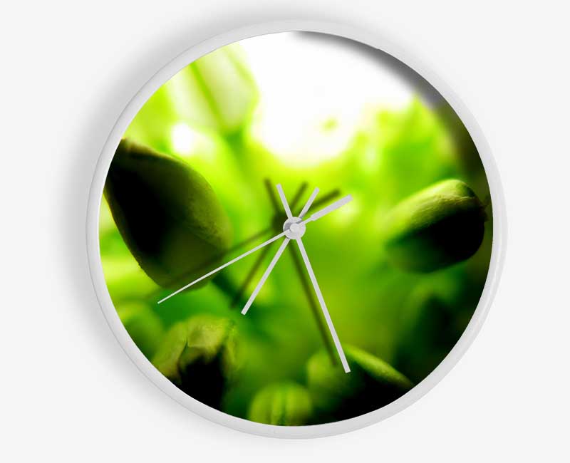 Green Buds In Sunlight Clock - Wallart-Direct UK