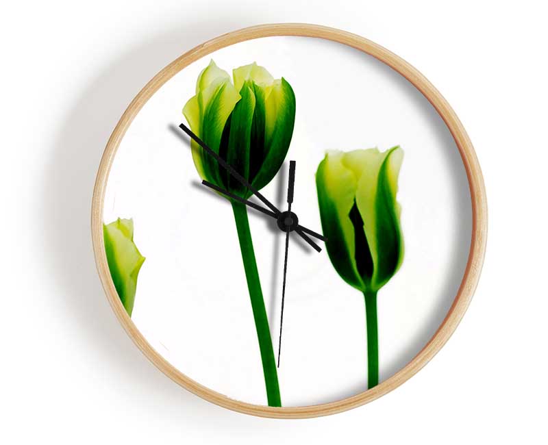 White Green Tulip Parade Clock - Wallart-Direct UK