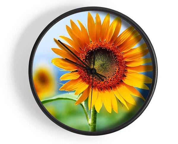 Morning Sunflower Clock - Wallart-Direct UK