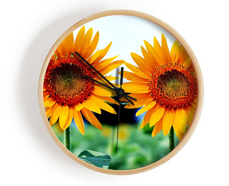 Twin Sunflowers Clock - Wallart-Direct UK