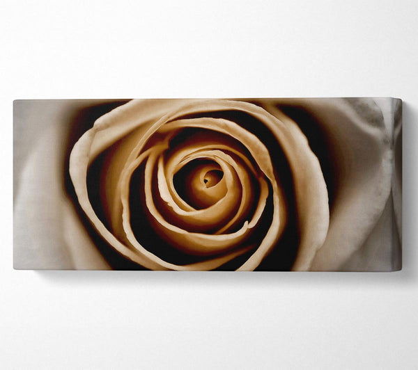 Atemberaubende Sepia Rose Nahaufnahme