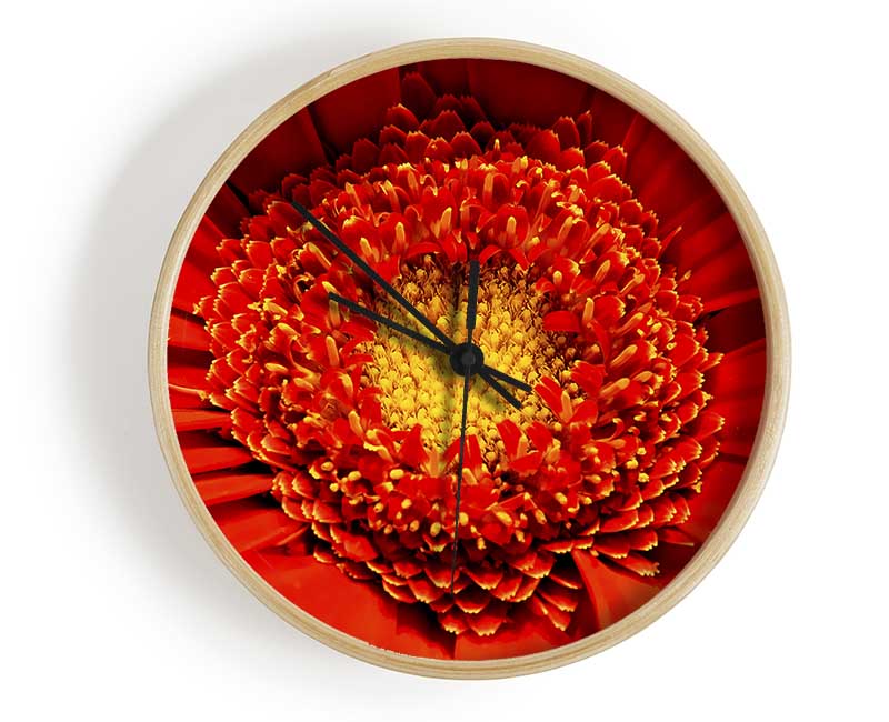The Centre Of A Gerbera Clock - Wallart-Direct UK