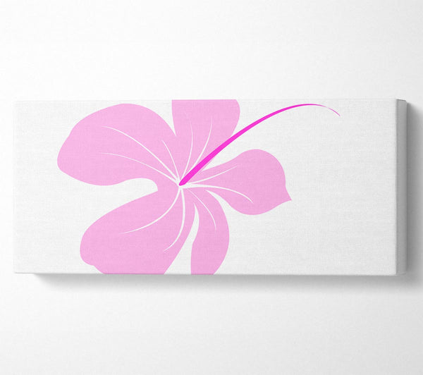 Pink Bloom