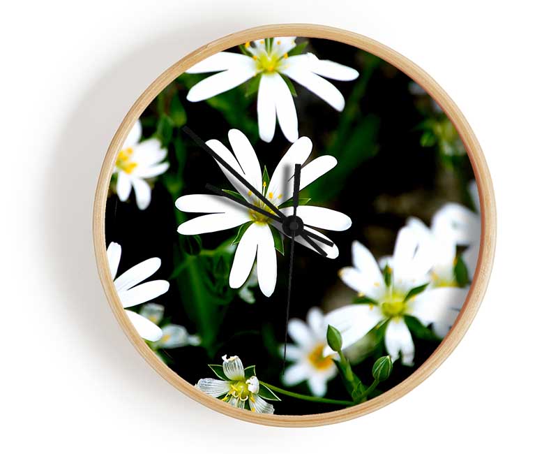White Garden Daisies Clock - Wallart-Direct UK