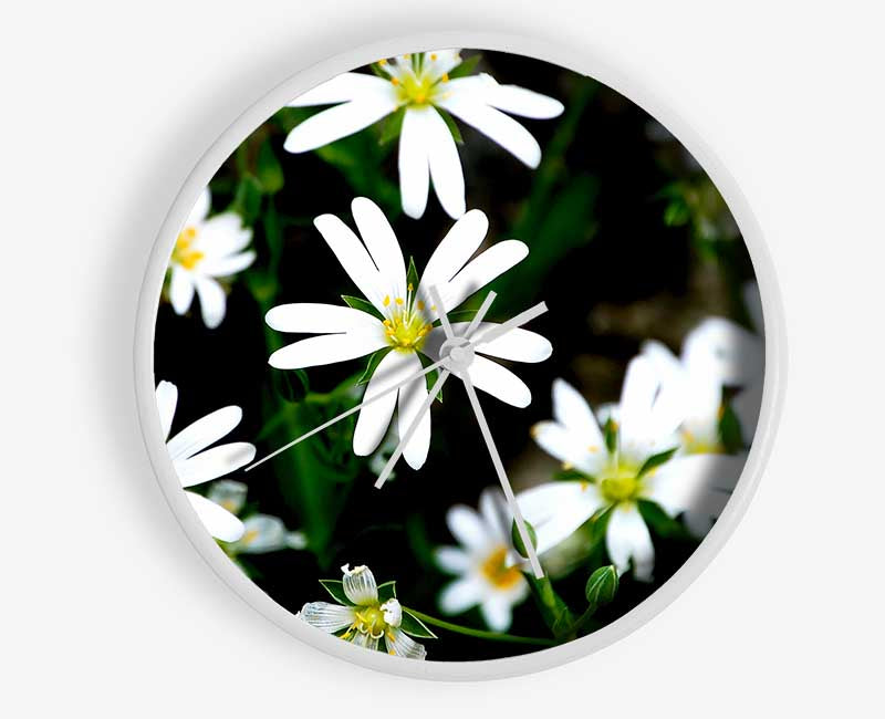 White Garden Daisies Clock - Wallart-Direct UK