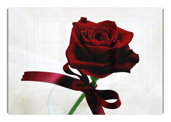 Dunkelrote Rose