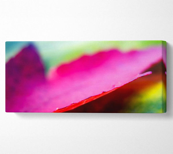 Pink Autumn Leave