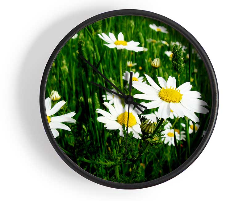 White Daisy Field Amongst The Grass Clock - Wallart-Direct UK