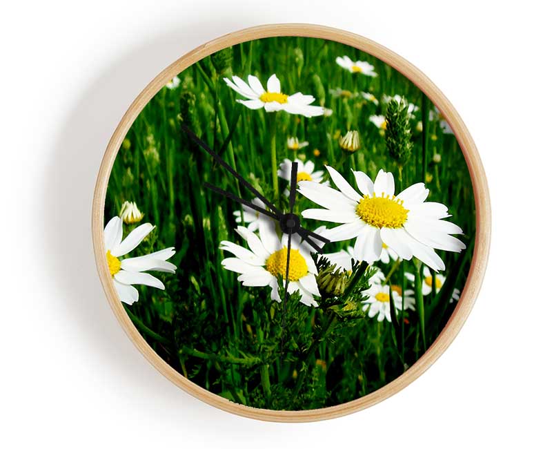 White Daisy Field Amongst The Grass Clock - Wallart-Direct UK