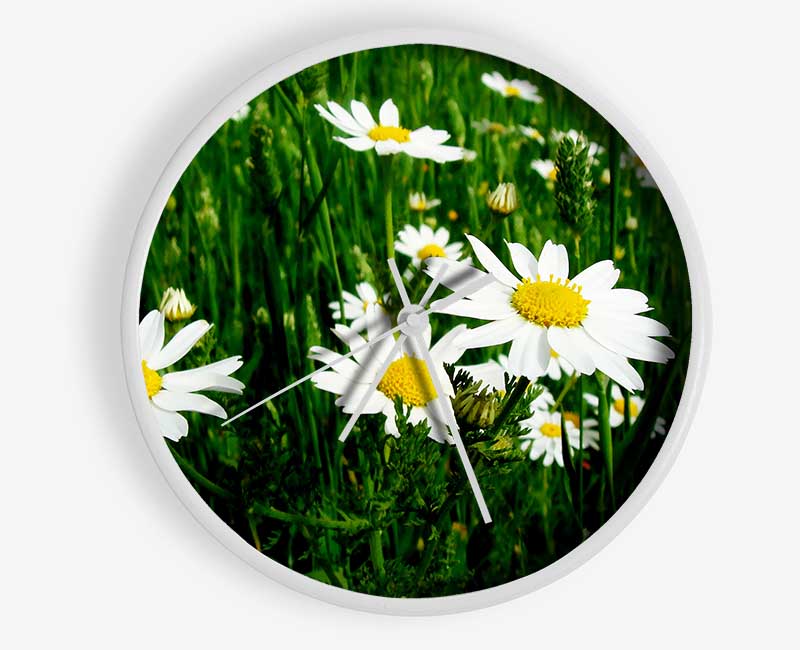 White Daisy Field Amongst The Grass Clock - Wallart-Direct UK