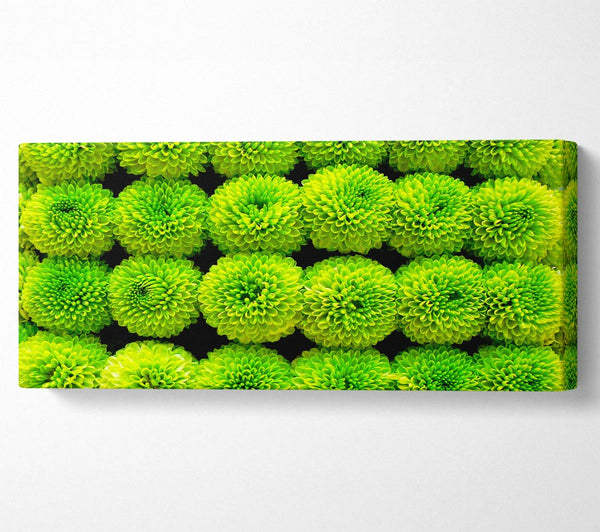 Green Parade