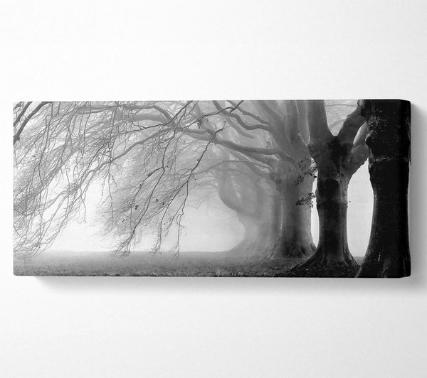 Heavy Branches