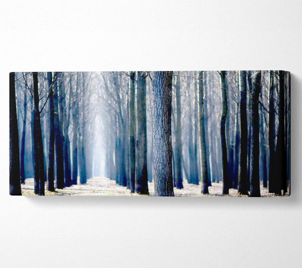 Bäume in einer Reihe im Winter