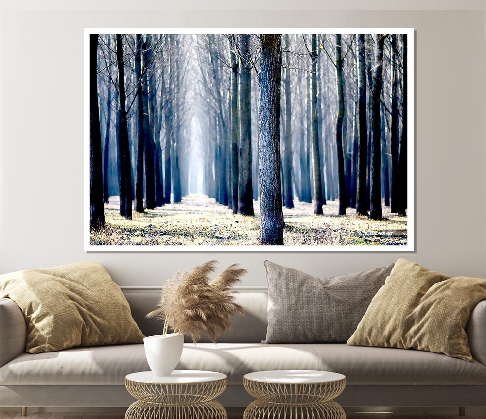 Trees Line Up In Winter Print Poster Wall Art