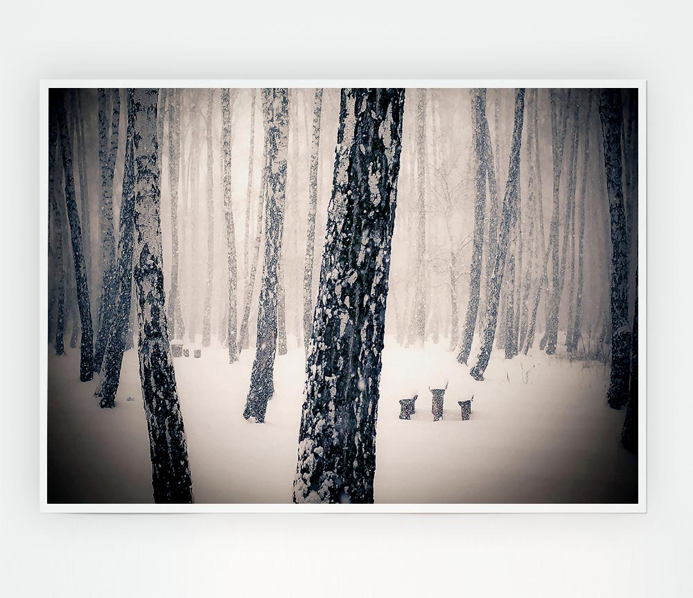 Forest Snowing Print Poster Wall Art