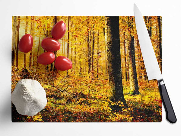 German Forest In Autumn Glass Chopping Board