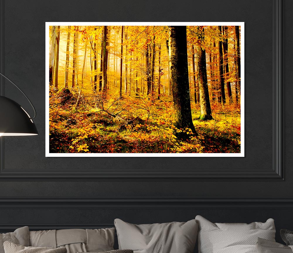 German Forest In Autumn Print Poster Wall Art