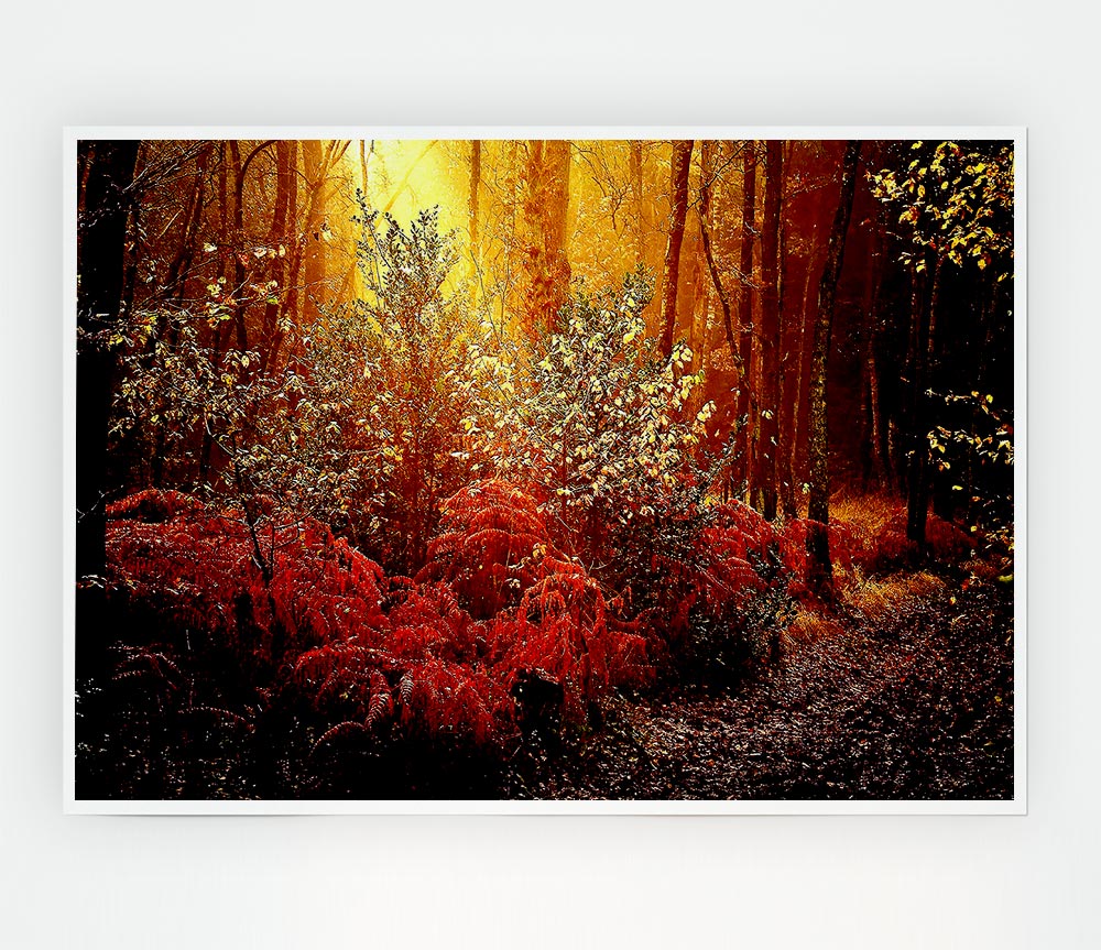 Autumn Forest Print Poster Wall Art