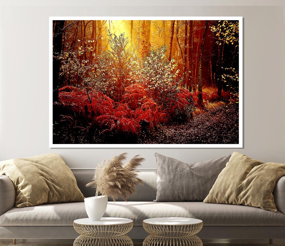 Autumn Forest Print Poster Wall Art