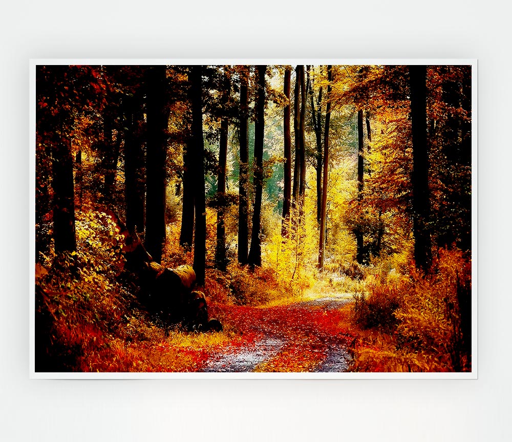 Forest Autumn Path Print Poster Wall Art