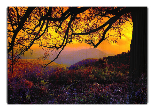 Herbstdämmerung