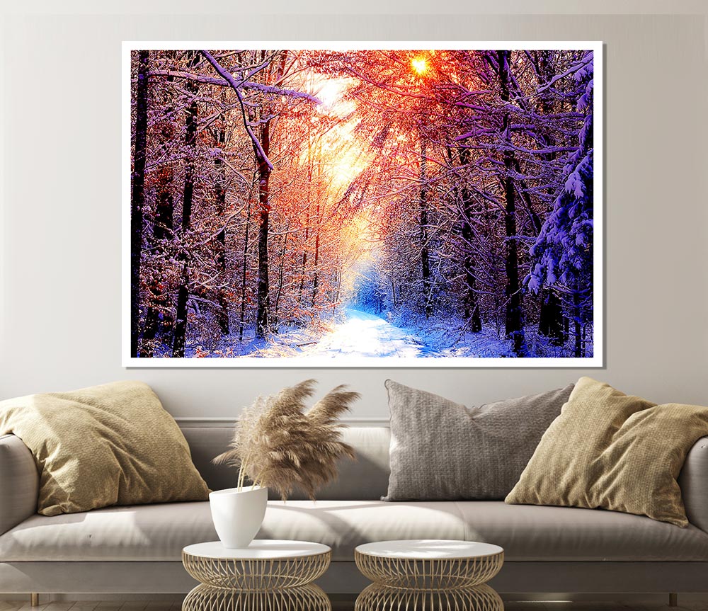 Winter Sun Blaze Print Poster Wall Art