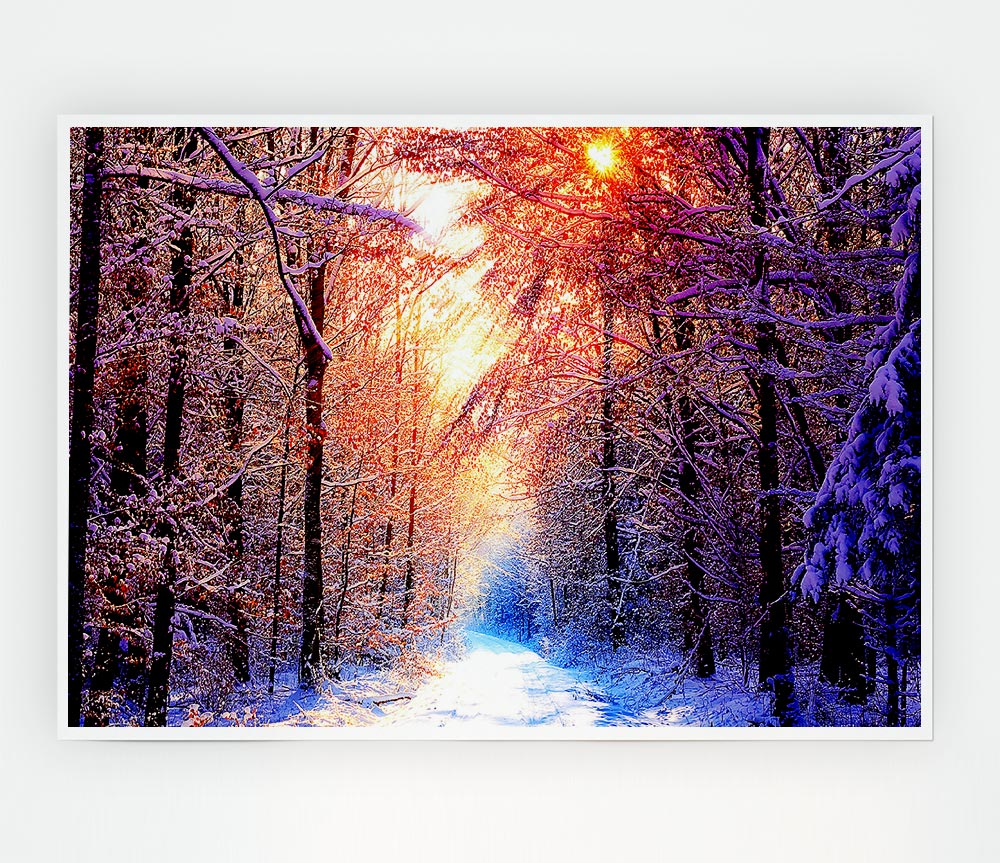 Winter Sun Blaze Print Poster Wall Art