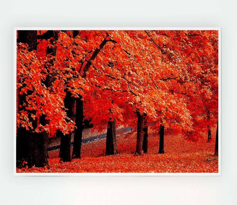 Beautiful Autumn Orange Leaves Print Poster Wall Art