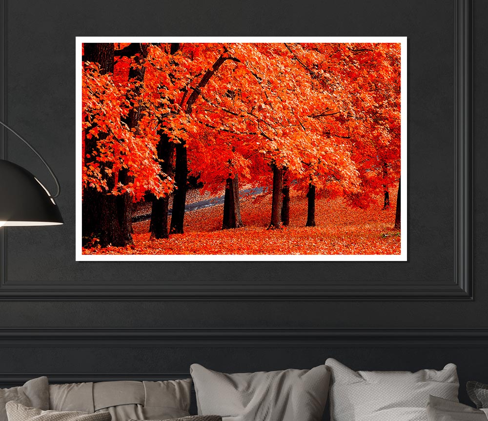 Beautiful Autumn Orange Leaves Print Poster Wall Art