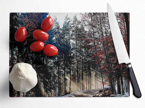 Forest Road In Winter Glass Chopping Board