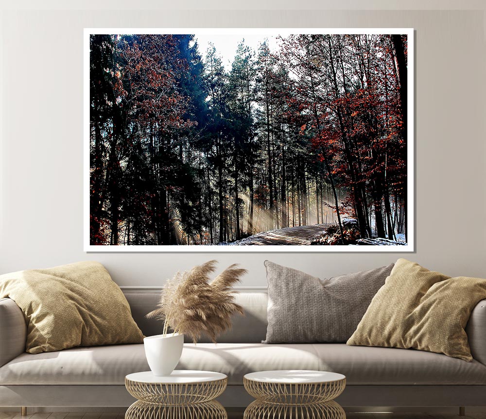 Forest Road In Winter Print Poster Wall Art