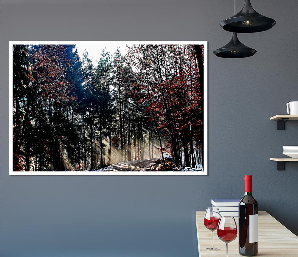 Forest Road In Winter Print Poster Wall Art