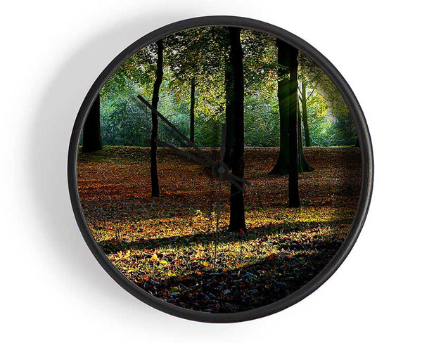 Autumn Light Clock - Wallart-Direct UK