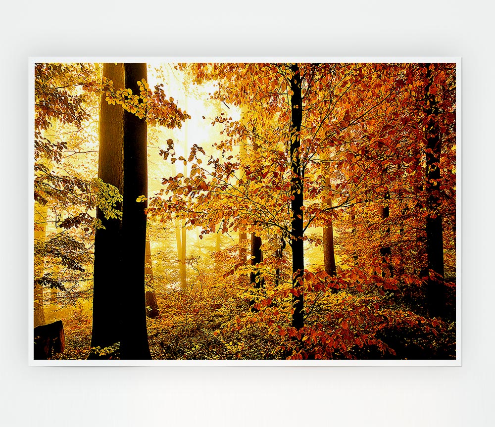 Beautiful Autumn Foliage Print Poster Wall Art